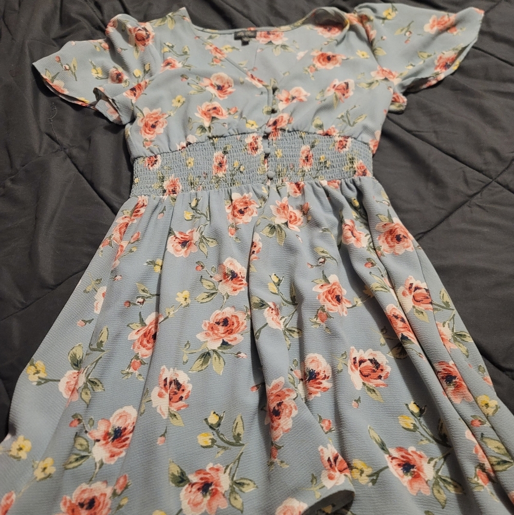 lily rose large